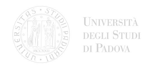 Università degli Studi di Padova logo Università degli Studi di Padova